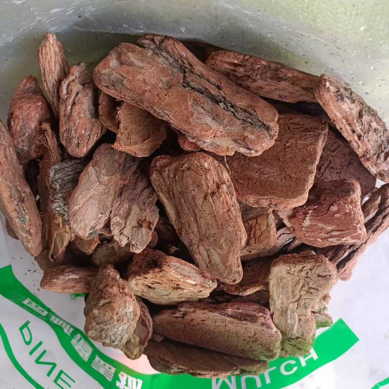 松树皮