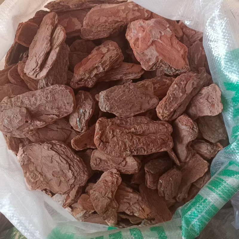 松树皮