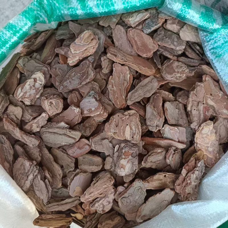 松树皮