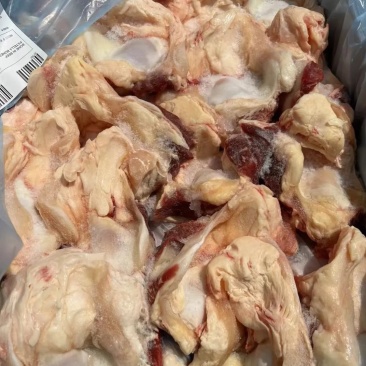 21厂草饲牛窝骨