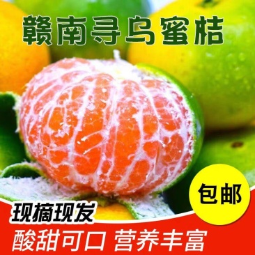 赣南寻乌蜜桔支持一件代发