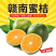 赣南寻乌蜜桔支持一件代发