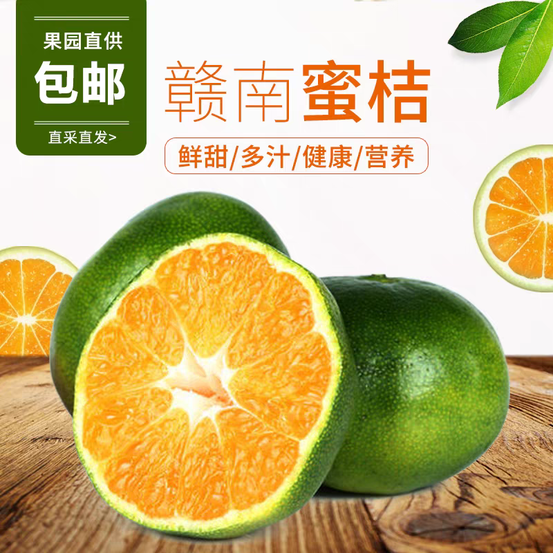 赣南寻乌蜜桔支持一件代发