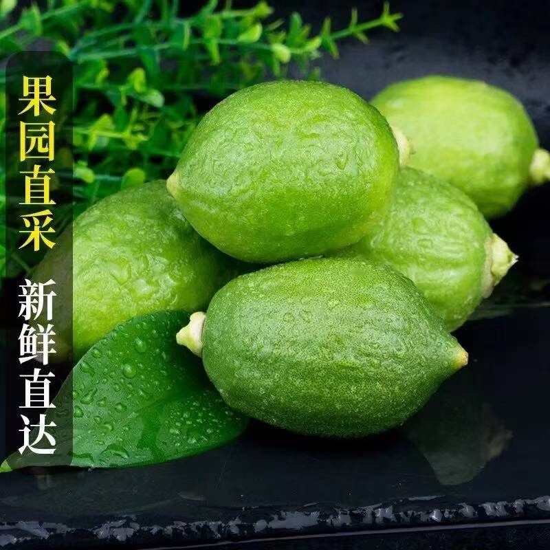 柠檬品质保证服务周到产地直发价格美丽欢迎联系