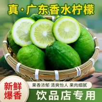 柠檬品质保证服务周到产地直发价格美丽欢迎联系