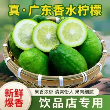 柠檬品质保证服务周到产地直发价格美丽欢迎联系