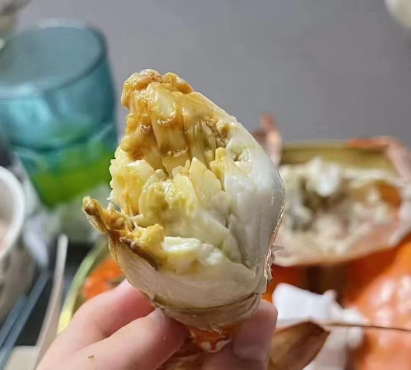 自家渔船打捞精品单挑梭子蟹大公梭子蟹
