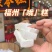 茯苓糕福州O高喔糕马糕三坊七巷特产无蔗糖八珍糕传统手工糕零食