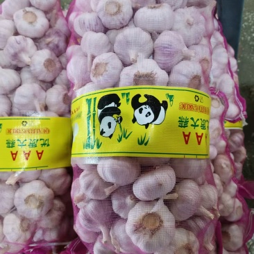 产地大蒜直发，紫皮大蒜，白皮大蒜，大蒜出口
