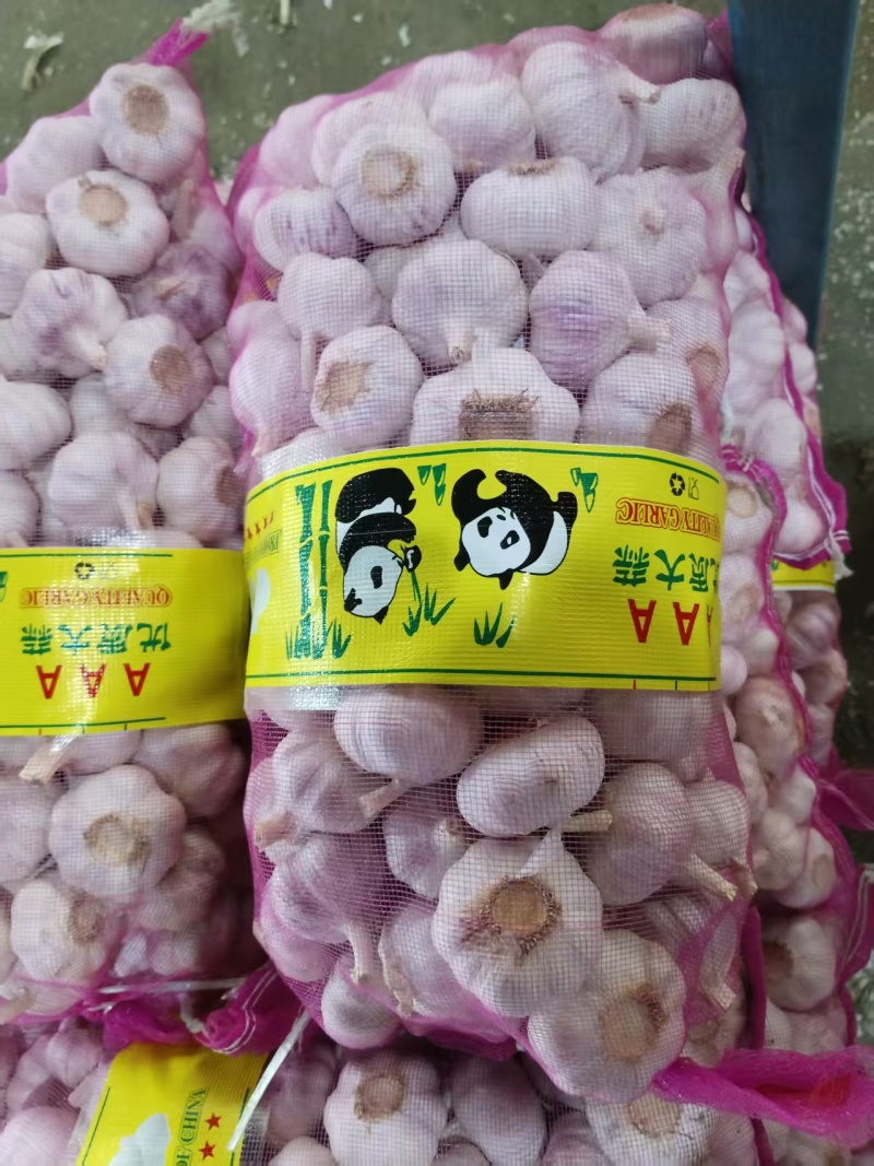 产地大蒜直发，紫皮大蒜，白皮大蒜，大蒜出口