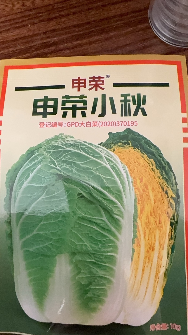 黄心大白菜苗，量大价优，可电联商议