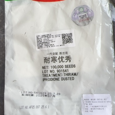 大量西蓝花苗甘蓝苗有机花苗白菜苗供应，量大价格优