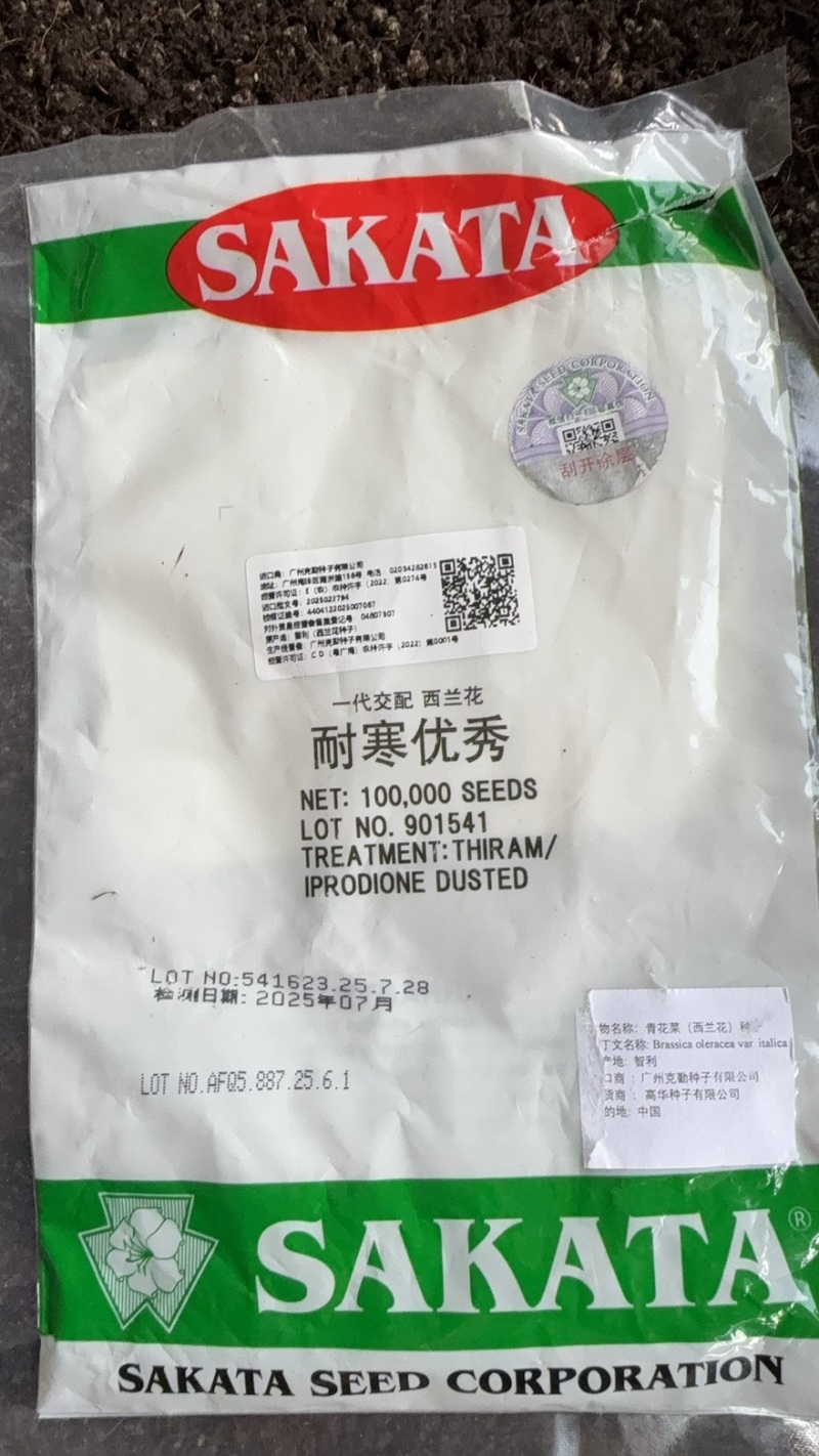 大量西蓝花苗甘蓝苗有机花苗白菜苗供应，量大价格优