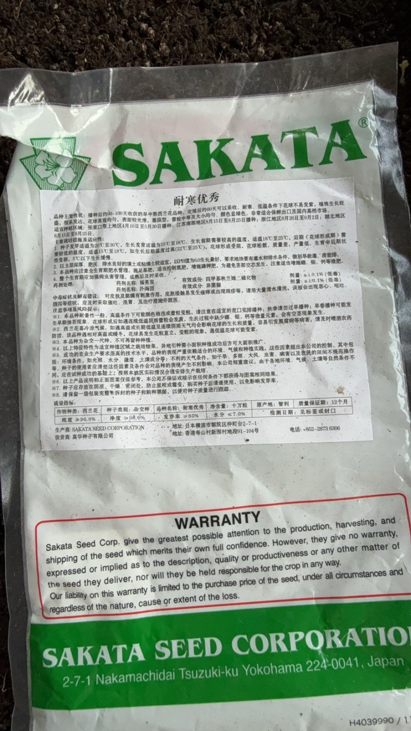 大量西蓝花苗甘蓝苗有机花苗白菜苗供应，量大价格优