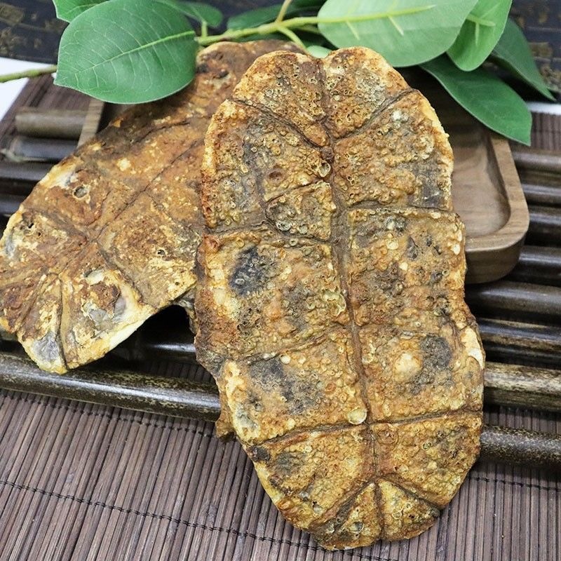 醋龟甲醋龟板中药材炙龟板精选龟板免费打粉野生特级龟板