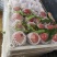 25蓝莓果实，11带果蓝莓盆栽，石头番茄，胭脂脆桃黄桃等