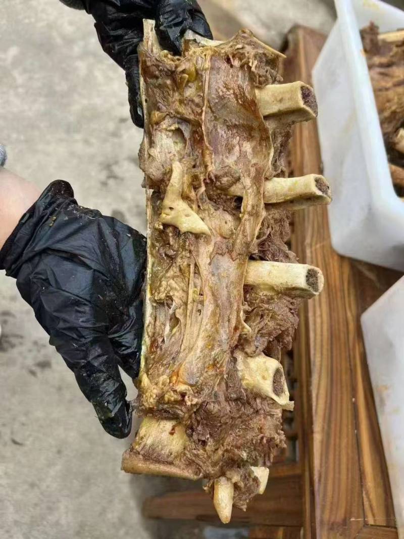 牛脊骨，肉多多的