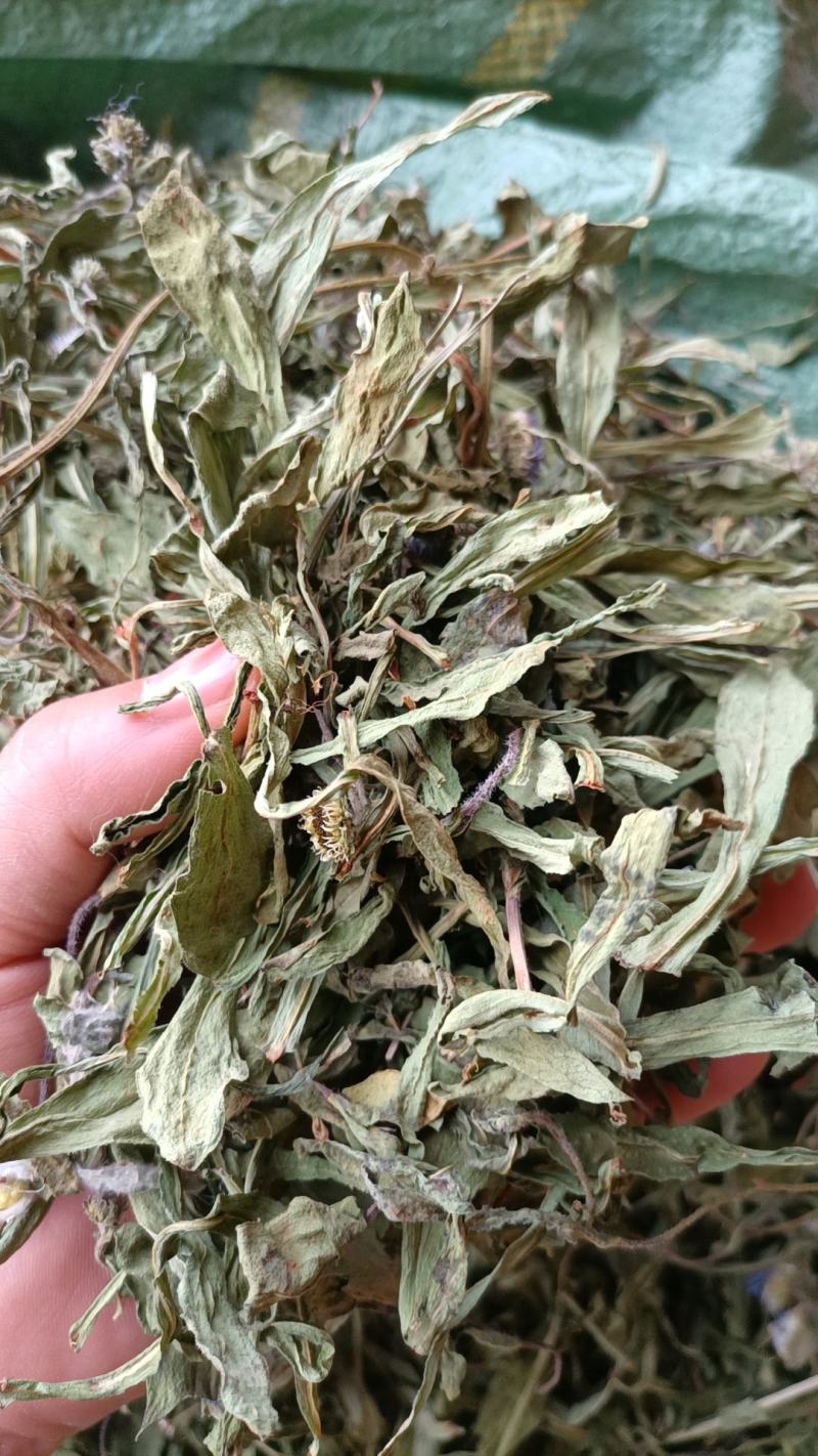 云南特产家种烤干无硫灯盏细辛灯盏花农副产品初级农产品