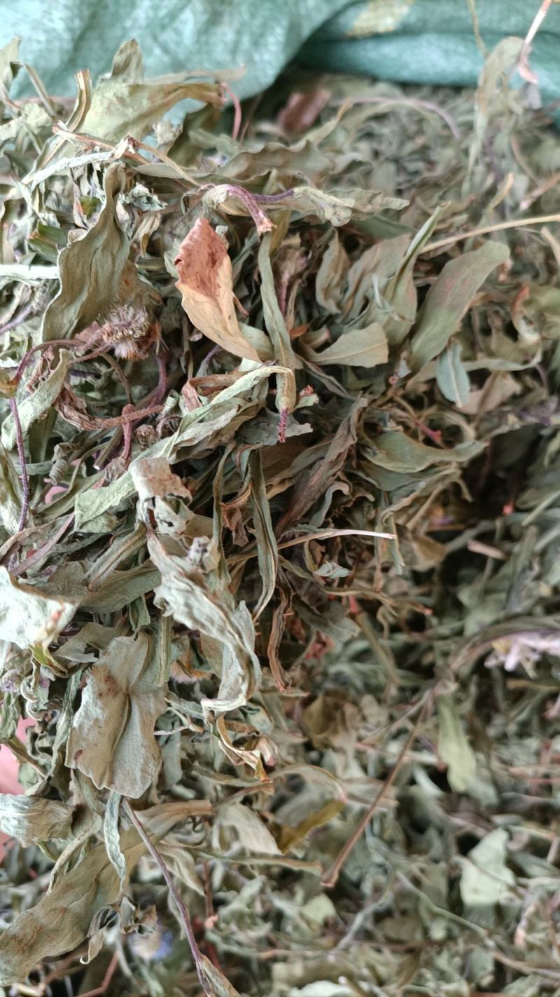 云南特产家种烤干无硫灯盏细辛灯盏花农副产品初级农产品