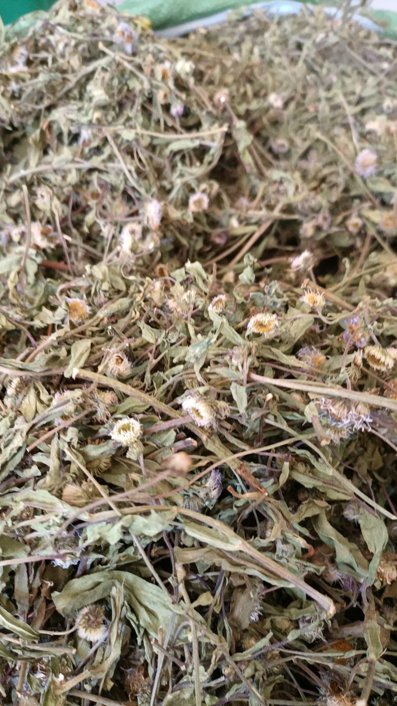 云南特产家种烤干无硫灯盏细辛灯盏花农副产品初级农产品