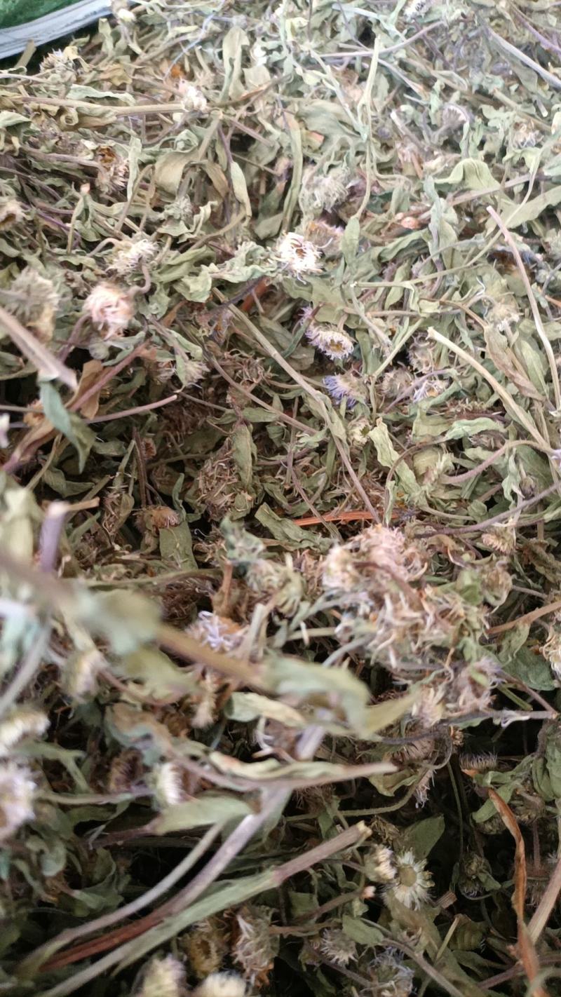 云南特产家种烤干无硫灯盏细辛灯盏花农副产品初级农产品