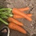 通许胡萝卜三红胡萝卜电商货加工货商超都有可做各种包装