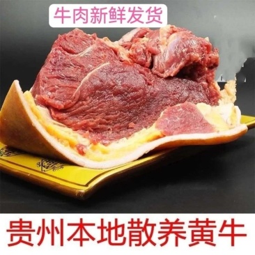 贵州本地散养带皮牛肉