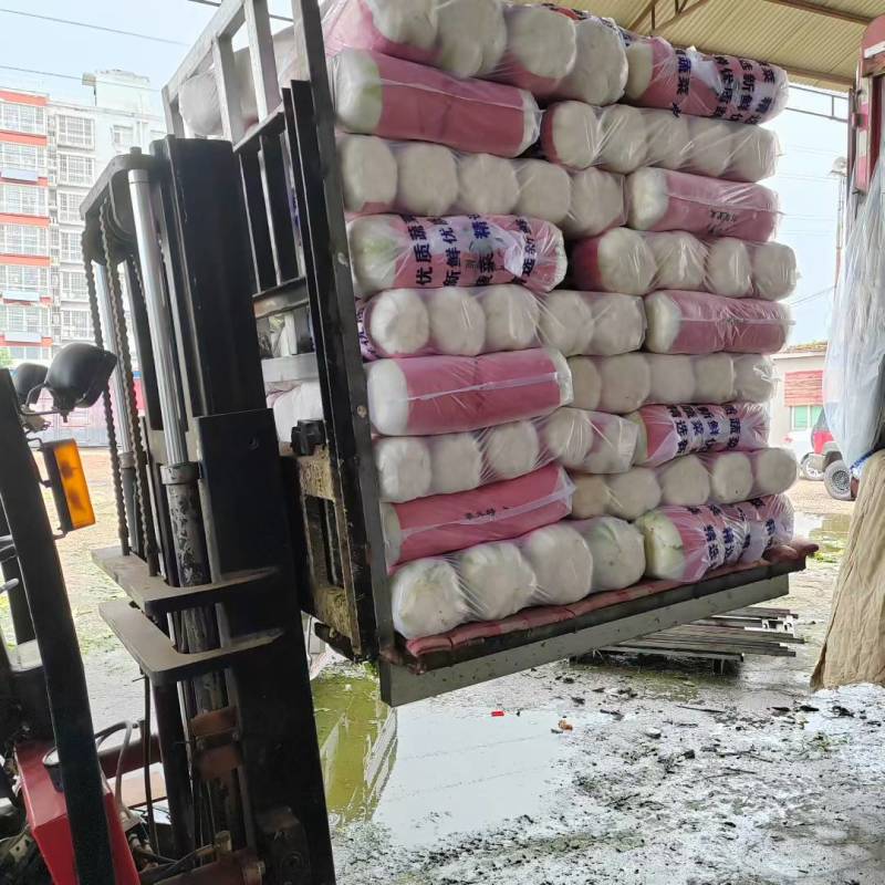 白菜承接加工批发市场社区团购直播带货现场看货订货满意为止