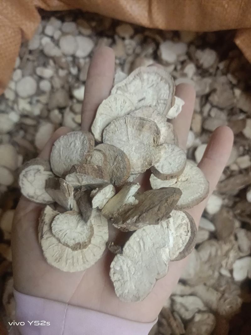 汉防已