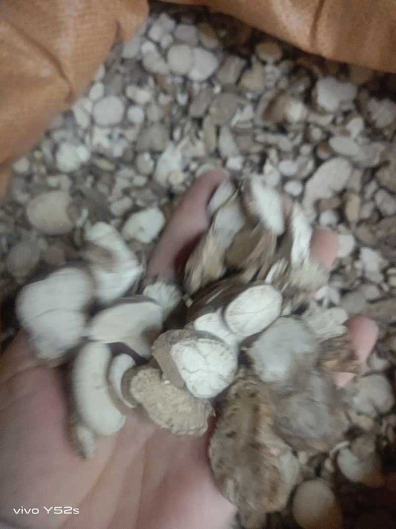 汉防已