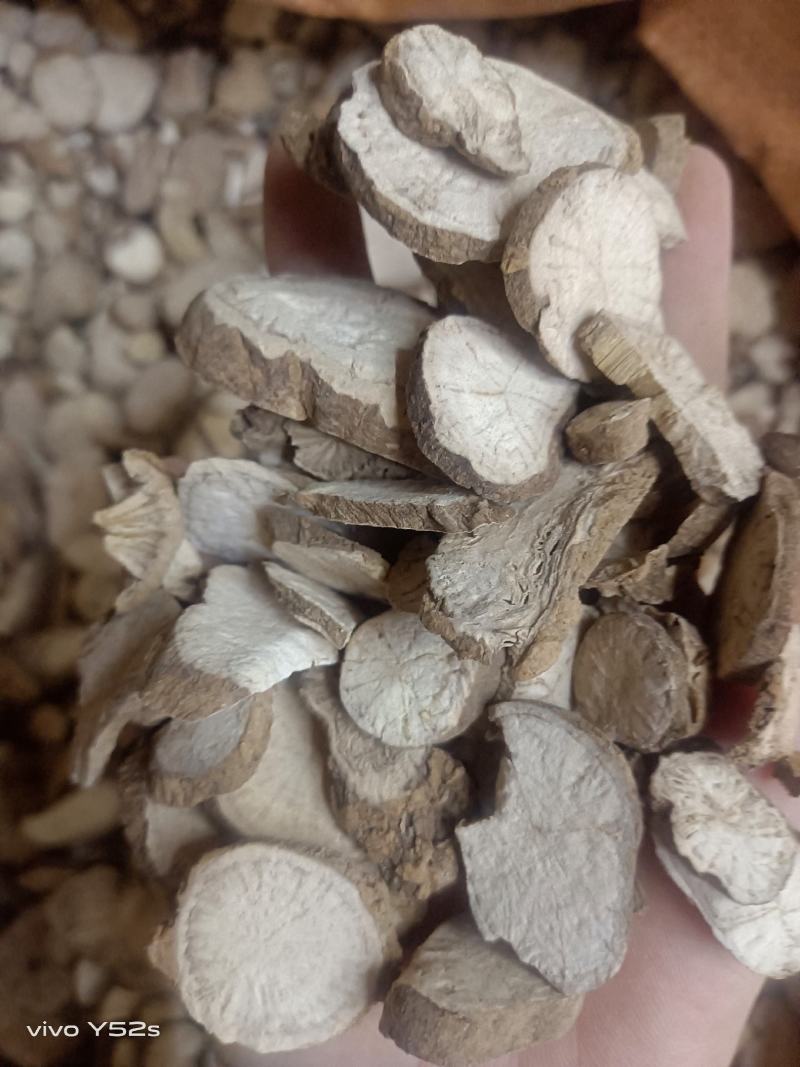 汉防已