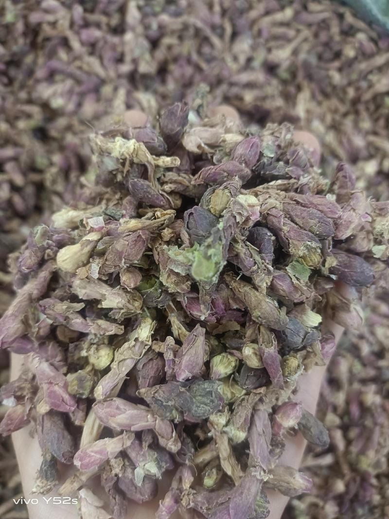 款冬花实物拍摄量大丛优安心购售后无忧诚信第一