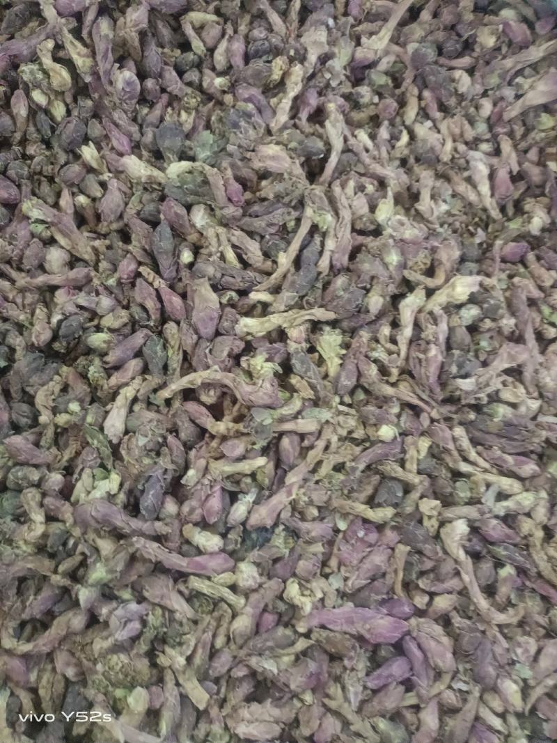 款冬花实物拍摄量大丛优安心购售后无忧诚信第一