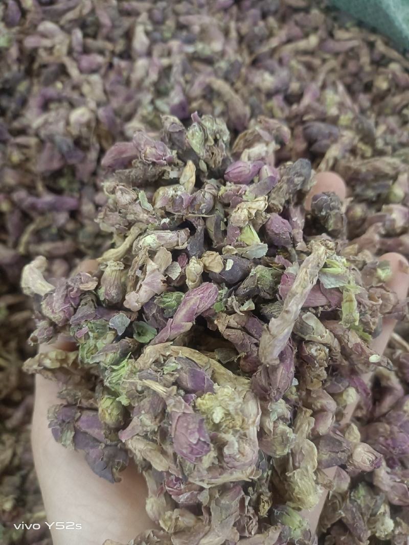 款冬花实物拍摄量大丛优安心购售后无忧诚信第一