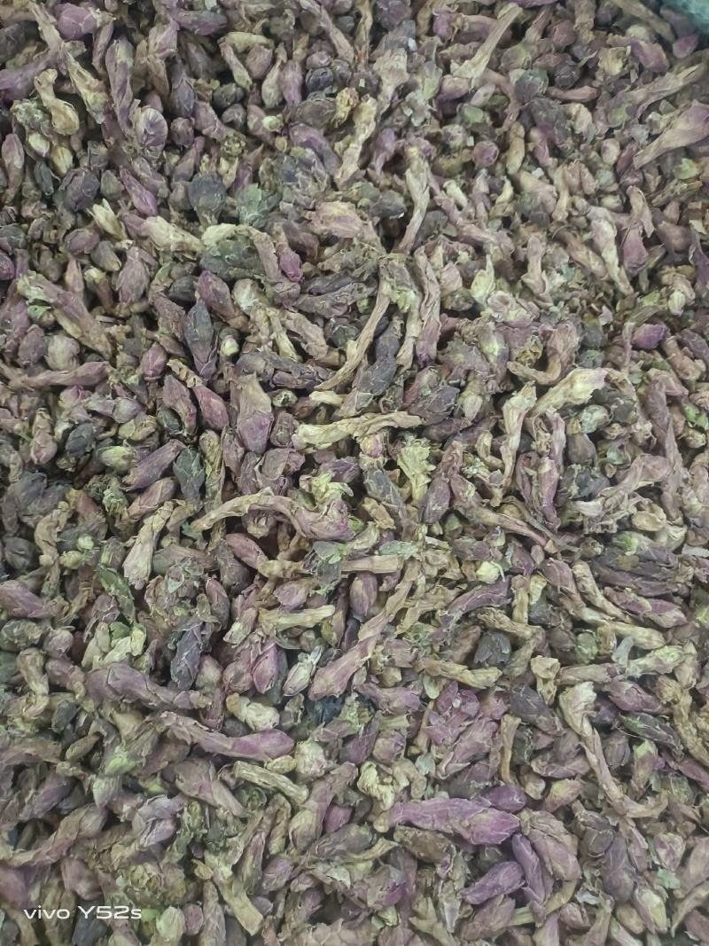 款冬花实物拍摄量大丛优安心购售后无忧诚信第一