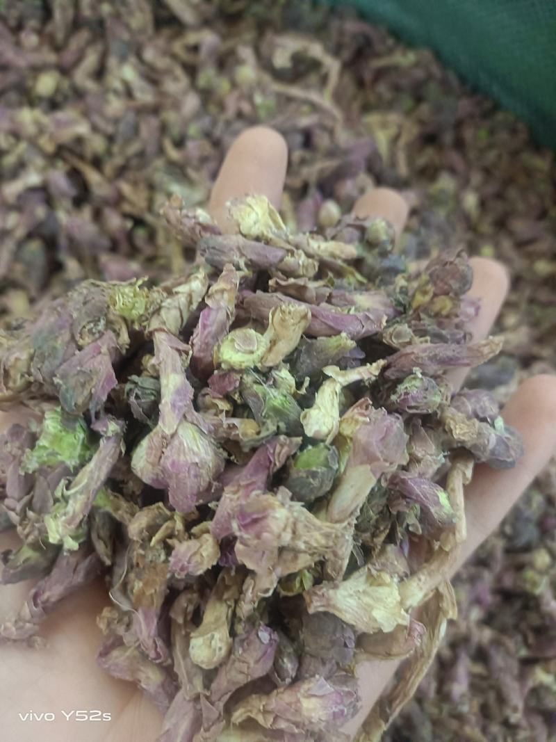 款冬花实物拍摄量大丛优安心购售后无忧诚信第一