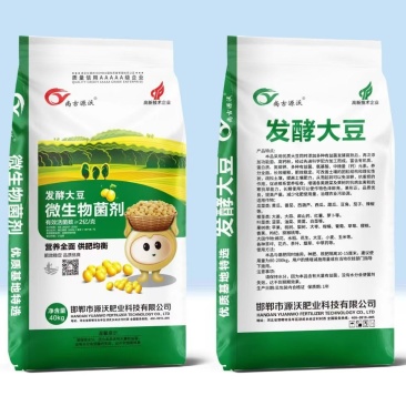 发酵大豆