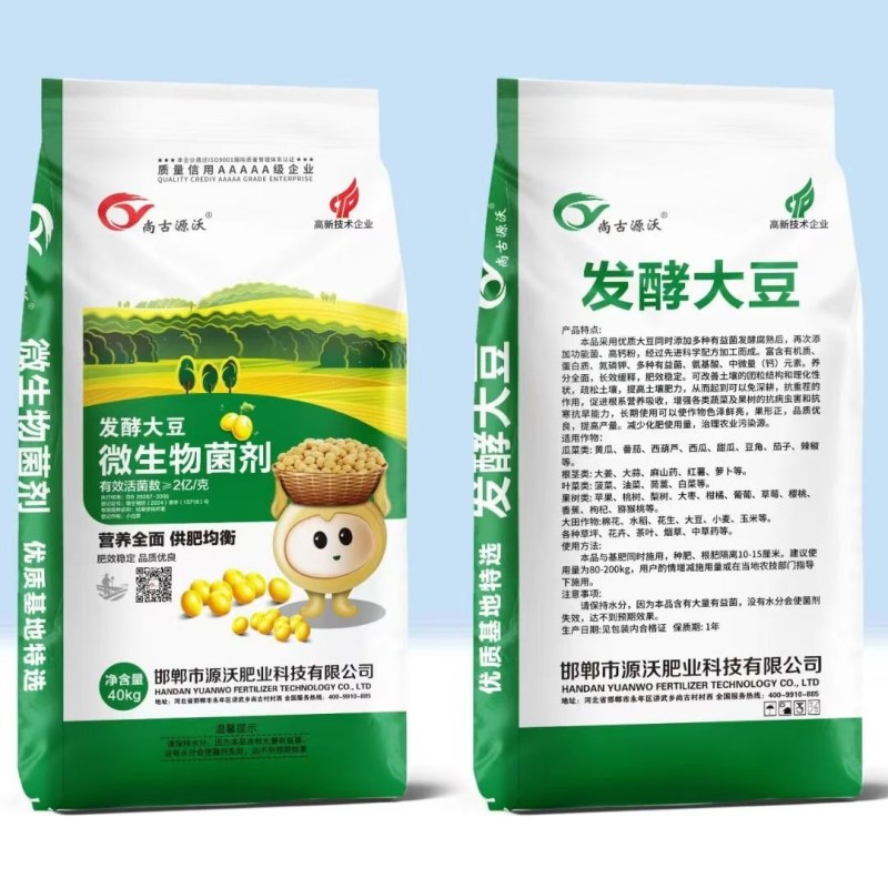 发酵大豆