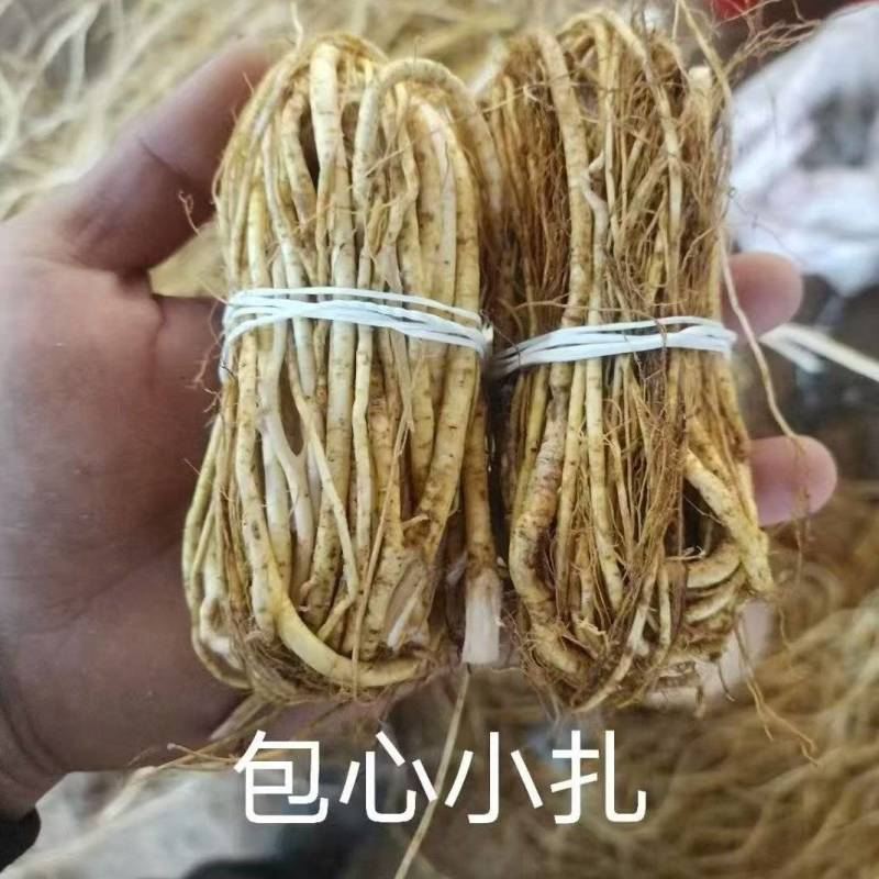 【优选】五指毛桃，产地直发五指毛桃诚信为本，量大从优