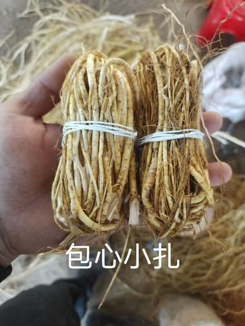 【优选】五指毛桃，产地直发五指毛桃诚信为本，量大从优
