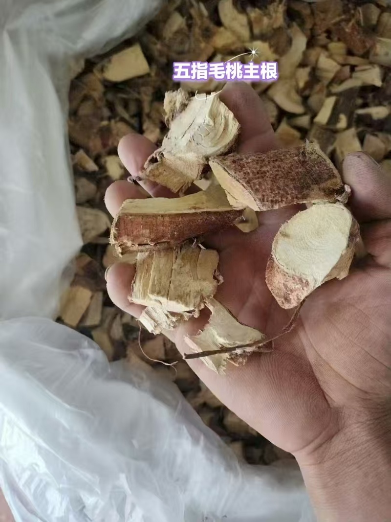 【优选】五指毛桃，产地直发五指毛桃诚信为本，量大从优