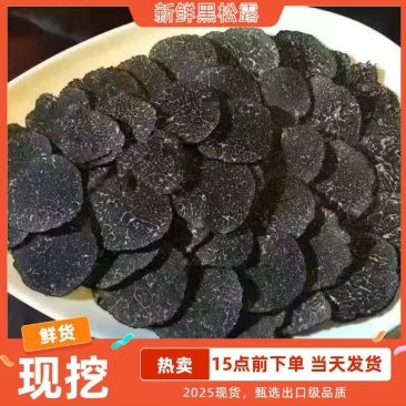 新鲜现货出口级品质黑松露