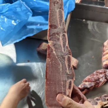 纯瘦牛肋排