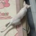 德文卷毛猫，不掉毛，粘人可爱
