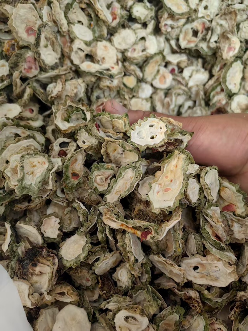 陕西西安周至原生苦瓜片一手货源泡水，大量供应