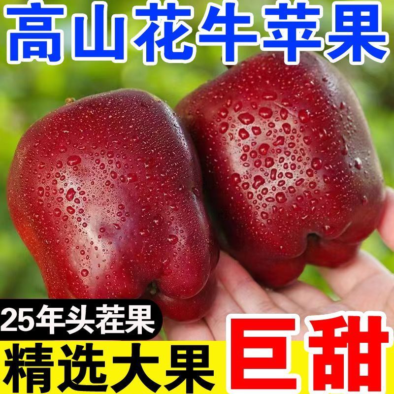 【爆甜】甘肃天水花牛苹果当季整箱应黑卡蛇果孕妇冰糖心新鲜