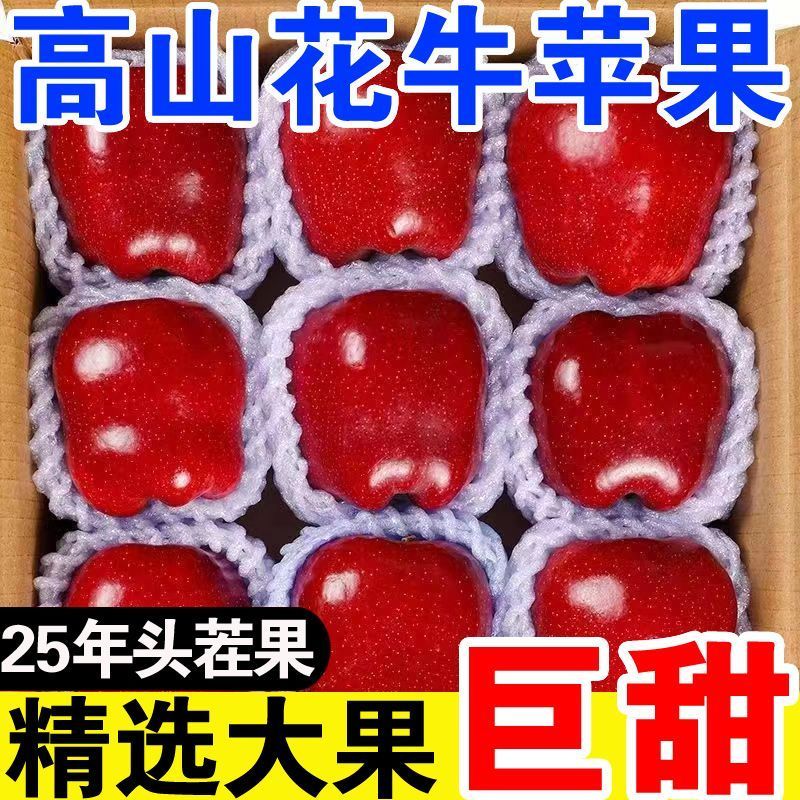 【爆甜】甘肃天水花牛苹果当季整箱应黑卡蛇果孕妇冰糖心新鲜