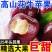 【爆甜】甘肃天水花牛苹果当季整箱应黑卡蛇果孕妇冰糖心新鲜