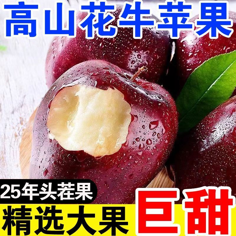 【爆甜】甘肃天水花牛苹果当季整箱应黑卡蛇果孕妇冰糖心新鲜