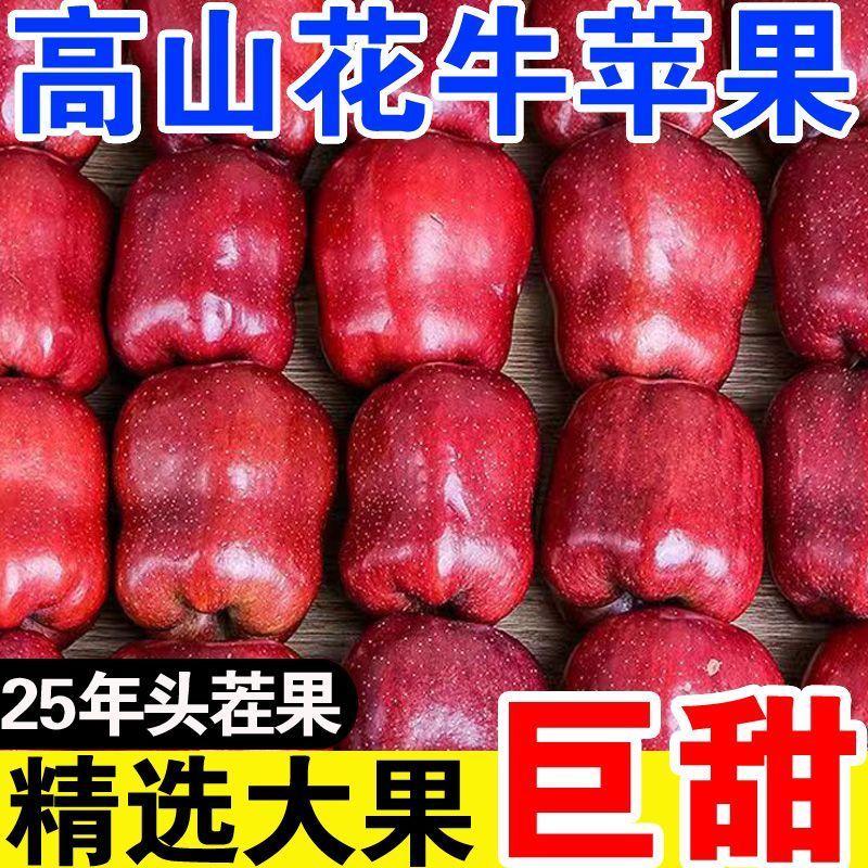 【爆甜】甘肃天水花牛苹果当季整箱应黑卡蛇果孕妇冰糖心新鲜